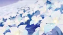 🌟 STARS COLLIDED RP. banner