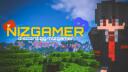 Niz Gamer Banner