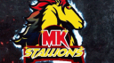 MK Stallions banner
