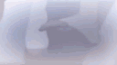 Dayo CH banner