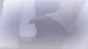 Dayo CH Banner