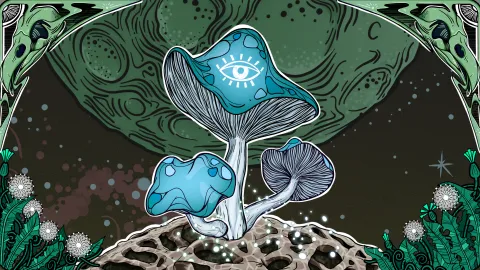Council of Elves banner