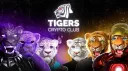 Tigers Crypto Club banner