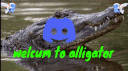 Alligator banner