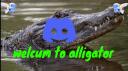 Alligator Banner