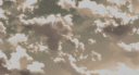 jia lf tarzzan summer's profile banner