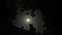 Eclipsed Discord server banner
