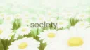 Aphrodisiac Discord server banner