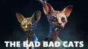 The Bad Bad Cats banner