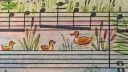 ♡ ̆̈﹕kinniequarium ₊ 🫧 Discord server banner