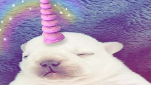 Virtual Stupidity II™ Discord server banner