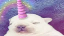 Virtual Stupidity II™ Discord server banner