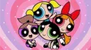 PPG banner