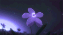 Recanto dos Sentimentos banner
