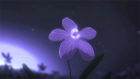 Recanto dos Sentimentos Banner