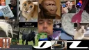 Forró Reboot Szerver banner