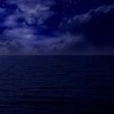 End of the Mollusc Era Banner