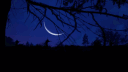 Night Vision banner