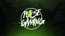Pulse Gaming banner