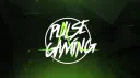 Pulse Gaming server banner