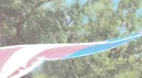 TA Bendruomenė banner