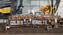 Golden Hornets banner