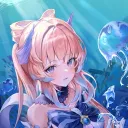 Novia. banner
