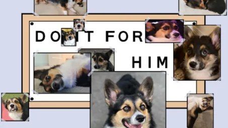 banner