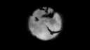 𓆩 𝔳𝔞𝔪𝔭𝔦𝔯𝔦𝔞 𓆪 Discord server banner