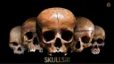 Skulls On ETH banner
