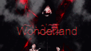 W̷̎͠o̷̓̕ǹ̵͑d̷̂̕e̸͠͠r̷̿͆l̷͋and server banner