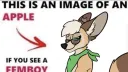 The Collie Corner banner