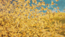 StrongHive Discord server banner