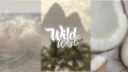 𝑾𝒊𝒍𝒅 𝑾𝒆𝒔𝒕 banner