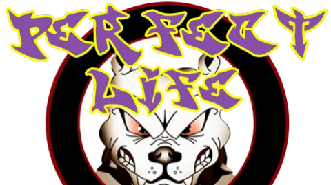 Perfect Life FA banner