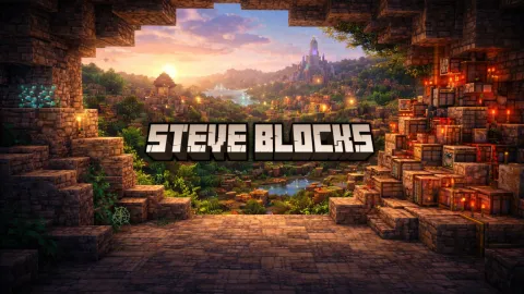 Steve Blocks banner