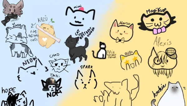 banner