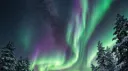 NKC ๐บ๐ธ๐๐ Discord server banner
