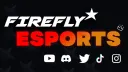 FireFly eSports banner