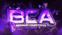 Bedwars Competitive Alliance banner