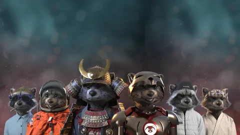 Raccoon City banner