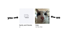 Cats Hub ★ Discord server banner