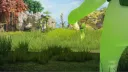 Coco Mokoko banner