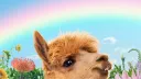 Fuzz Society banner