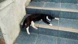 endure 💤 #yearners ꜝ server banner