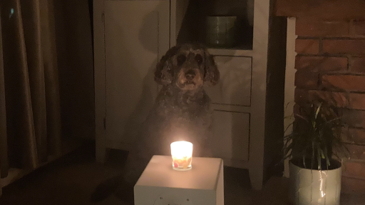 LUMINA Discord server banner