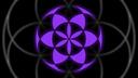 The Collective Banner