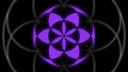 The Collective banner