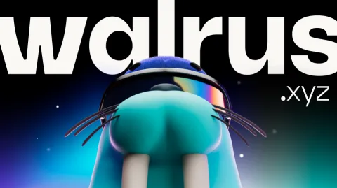 Walrus banner