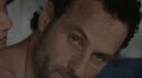 TWD }{ UNIVERSE™ Banner